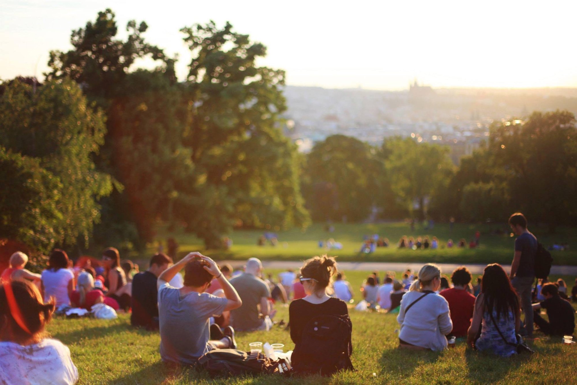 People in the park looking over a city.